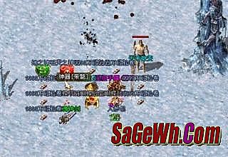 ��ʧ����װ��