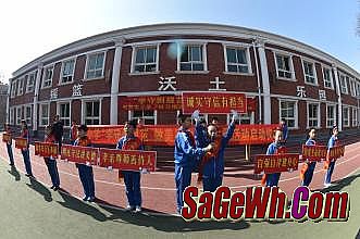 ��Ѫ�������η�rmb����