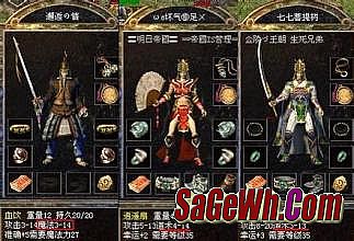 盛大传奇世界手机版