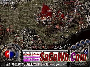85�������Ŵ���˽��