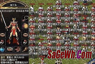 76���Ŵ�������